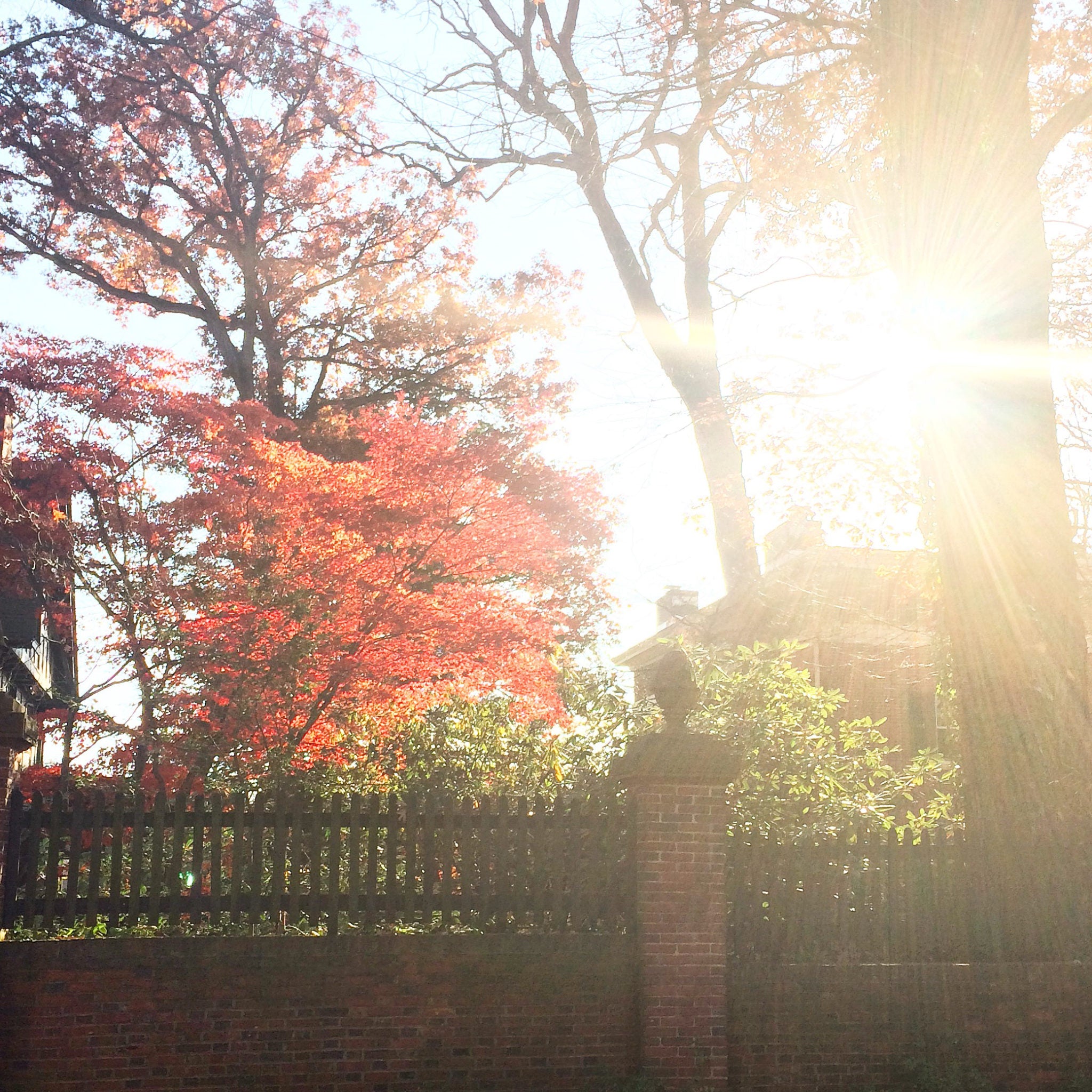 November!?