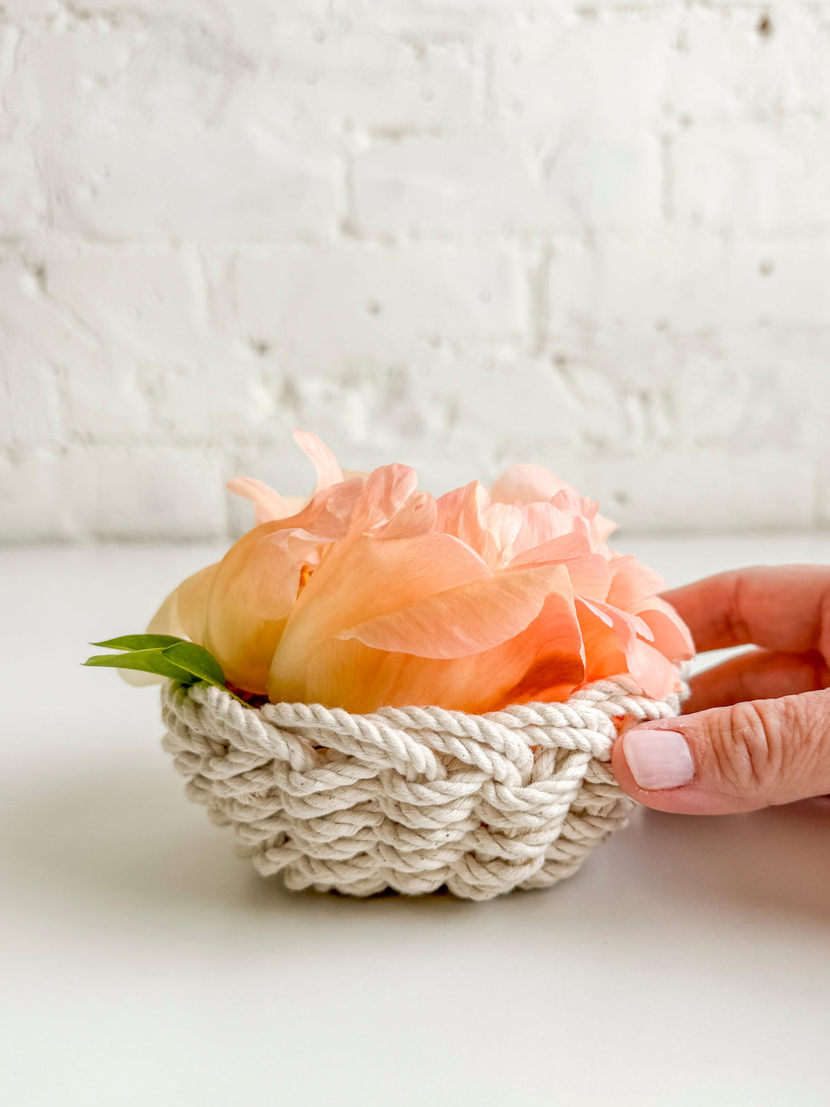 Meet Josie; our New Mini Rope Bowl