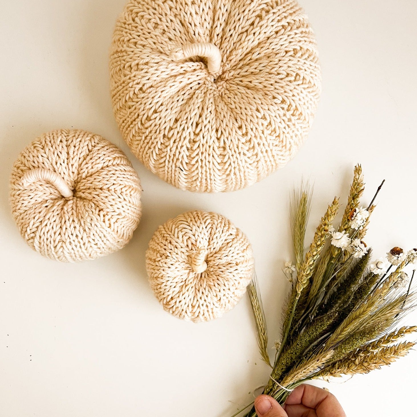 Easy Knit Pumpkin Kit